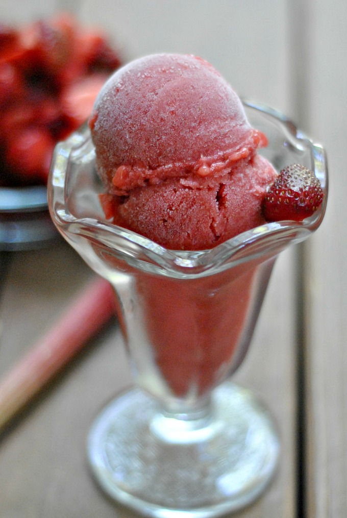 Strawberry-Rhubarb Sorbet 1