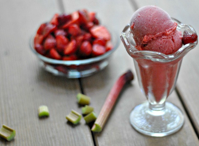 Strawberry-Rhubarb Sorbet 4