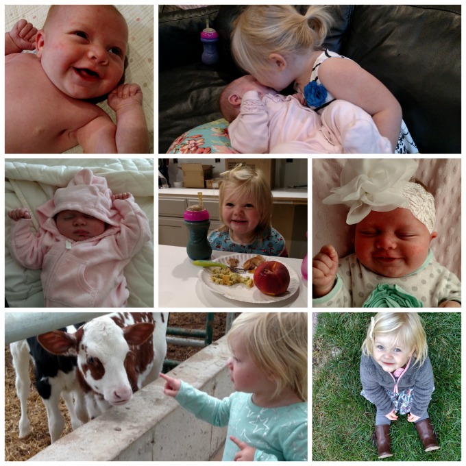 6-week-piper-collage