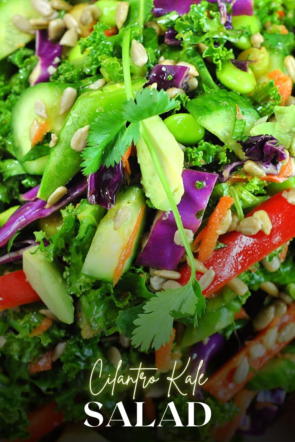 Cilantro Kale Salad with Sesame Ginger Dressing via @preventionrd