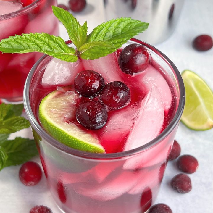 Cranberry Gin Mule Cocktail